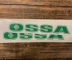 OSS04 ADESIVO OSSA VERDE Coppia